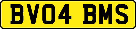 BV04BMS