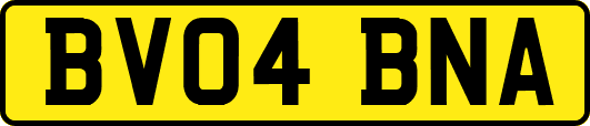 BV04BNA