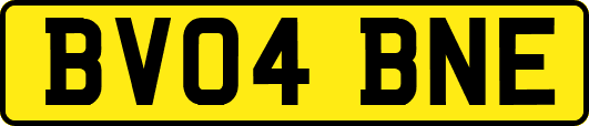 BV04BNE