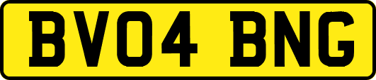 BV04BNG