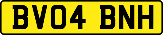 BV04BNH