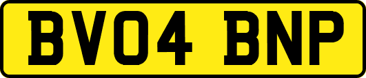 BV04BNP