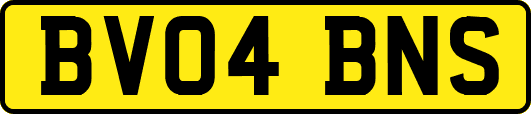 BV04BNS
