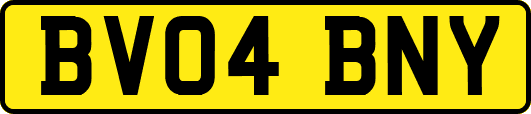 BV04BNY