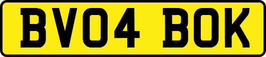 BV04BOK