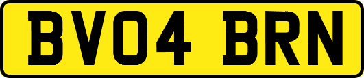 BV04BRN