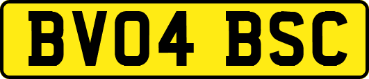 BV04BSC
