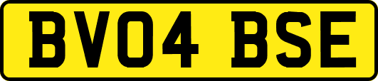 BV04BSE