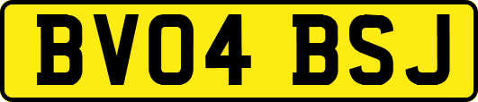 BV04BSJ