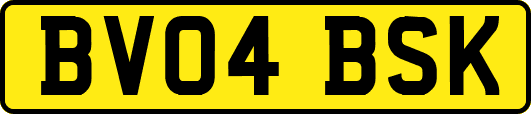 BV04BSK
