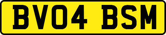 BV04BSM