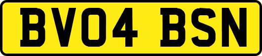BV04BSN