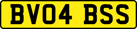 BV04BSS