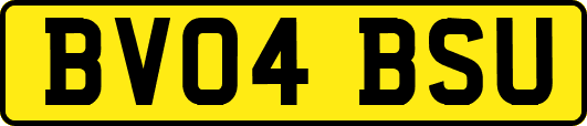 BV04BSU