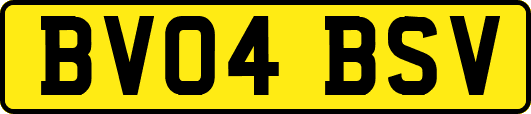 BV04BSV