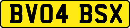 BV04BSX