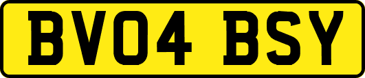 BV04BSY