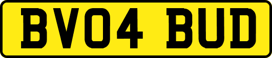 BV04BUD