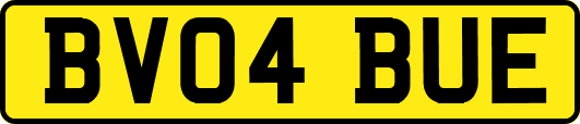 BV04BUE
