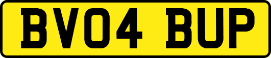 BV04BUP