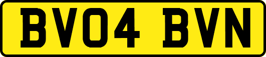 BV04BVN