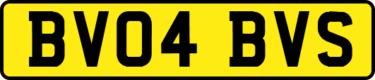 BV04BVS