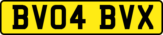 BV04BVX
