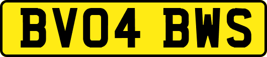 BV04BWS