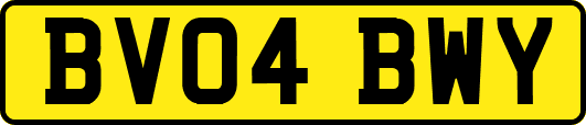 BV04BWY