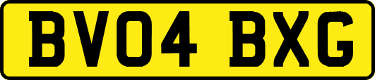 BV04BXG