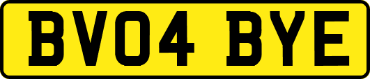 BV04BYE