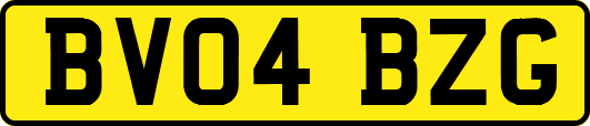 BV04BZG