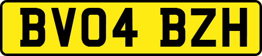 BV04BZH