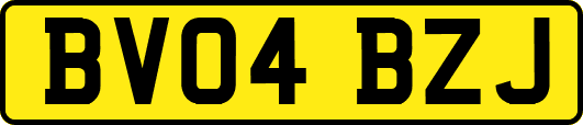 BV04BZJ