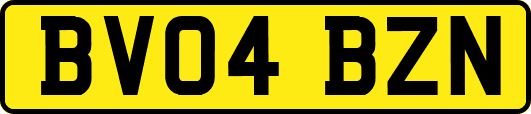 BV04BZN