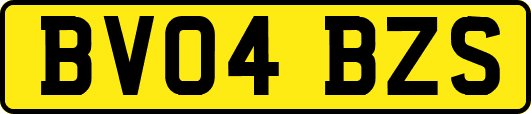 BV04BZS