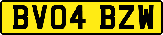 BV04BZW