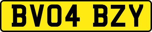 BV04BZY