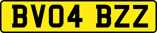 BV04BZZ