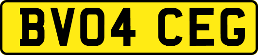 BV04CEG