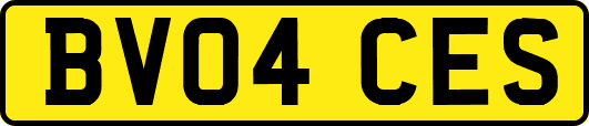 BV04CES