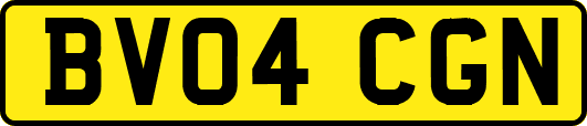 BV04CGN