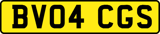 BV04CGS