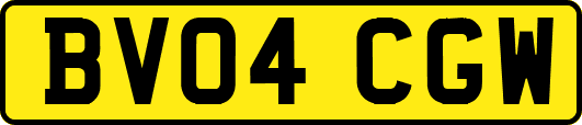 BV04CGW