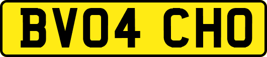 BV04CHO