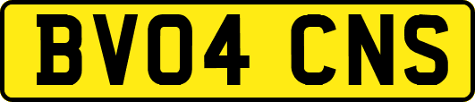 BV04CNS