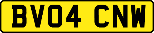 BV04CNW