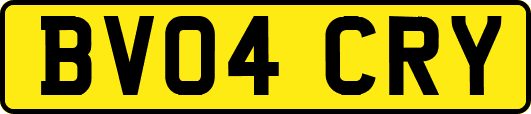BV04CRY