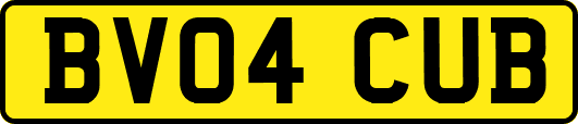 BV04CUB