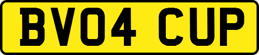 BV04CUP